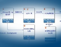 流程专家—Processist单击版(BPM工具)_v1.0.7_32位中文免费软件(15.24 MB)