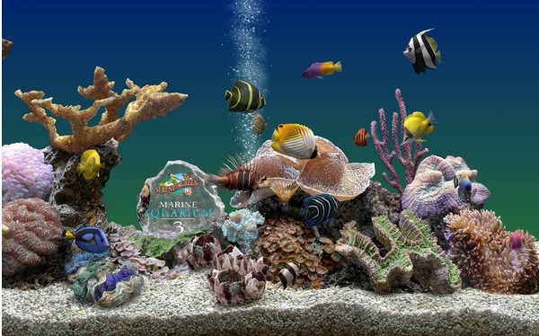 热带鱼水族箱屏幕保护3D