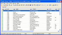DBF Viewer 2000 4.97_4.97.0.0_32位英文共享软件(2.44 MB)