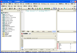 Altova XML Spy 13.2.1.0_13.2.1.0_32位中文共享软件(49.18 MB)