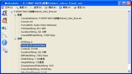 MediaInfo_0.7.65.0_32位中文免费软件(4.3 MB)
