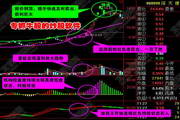 大私募牛股王2013_10.0.11.9_32位中文免费软件(30.37 MB)
