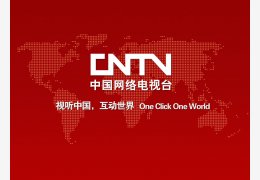 CCTVReg_官方版_32位中文免费软件(1.66 MB)