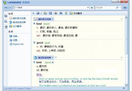 灵格斯词霸 绿色版_2.9.2_32位中文免费软件(10.2 MB)