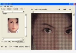 十字绣软件 绿色版_2008_32位中文免费软件(682 KB)