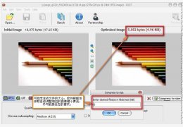 Riot(精准优化图像大小) 绿色版_v.5.02_32位中文免费软件(1.7 MB)