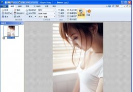 HyperSnap-DX免费版(抓图工具) 中文绿色版_V7.24.00_32位中文免费软件(10.8 MB)