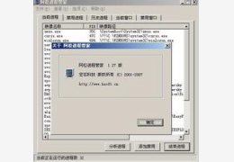阿松进程管家 (查杀木马、无赖进程的有效辅助工具)简体中文绿色特别版