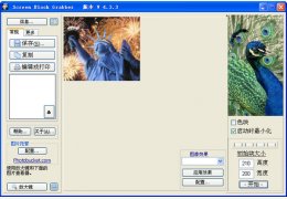 免费屏幕截图工具(Screen Block Grabber) 绿色中文版_V4.3.3_32位中文免费软件(2.52 MB)