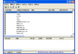 FileTypesMan(文件类型查看) 绿色中文版_v1.66_32位中文免费软件(66 KB)