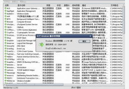 Windows服务管理器 简体中文绿色免费版_1.2.5C_32位中文免费软件(56 KB)