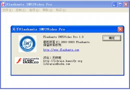 swf2video pro 绿色中文版_v1.0.1.2_32位中文免费软件(300 KB)