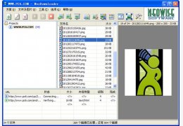 NeoDownloader (图片下载工具)汉化绿色版