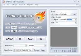 dvd转mkv转换器(DVD To MKV Converter) 绿色免费版_1.0_32位中文免费软件(6.98 MB)