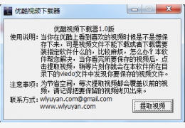 优酷视频下载器 绿色免费版_1.0 _32位中文免费软件(316 KB)