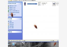 桌面蟑螂(Cockroaches on Desktop) 绿色版