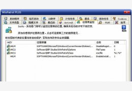 WinPatrol Plus(系统看门狗) 汉化绿色版_v24.5_32位中文免费软件(759 KB)