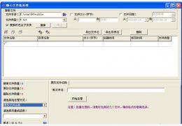 随心文件批处理 绿色版_2.6.711_32位中文免费软件(969 KB)