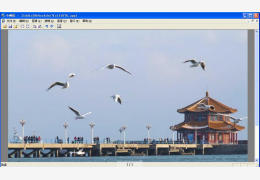 小画匠 绿色免费版_1.0_32位中文免费软件(632 KB)