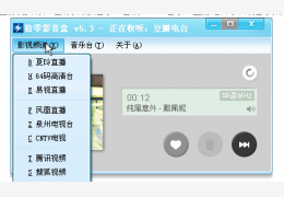 拾零影音盒 绿色版_v5.3.0.513_32位中文免费软件(765 KB)