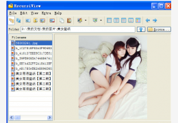 RecursiView(高级图片浏览器)绿色版_1.0.3 _32位中文免费软件(570 KB)