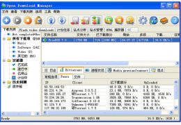 Open Download Manager(ODM) 中文精简绿色版_1.0_32位中文免费软件(1.21 MB)