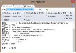 终极PID检测器 绿色版_v1.1.3.590_32位中文免费软件(2.07 MB)