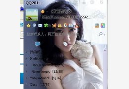 恩典qq皮肤补丁_2012.2.20_32位中文免费软件(9.06 MB)