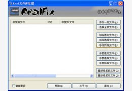 Real文件修复器 4.2_4.2.0.28_32位中文免费软件(891.3 KB)