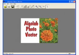 AlgoLab Photo Vector 1.98.9_1.0.0.1_32位英文共享软件(1.8 MB)