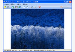 ACDSee QuickView 1.2