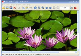 IrfanView_4.36_32位英文免费软件(1.57 MB)