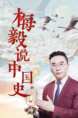 梅毅说中国史