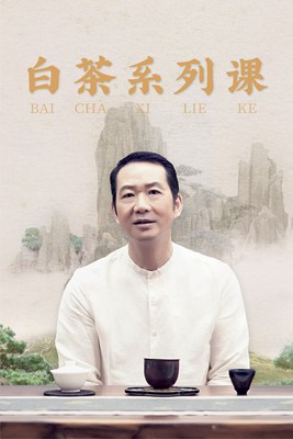 白茶系列课