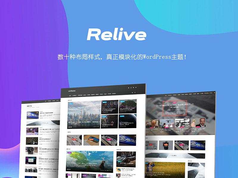 WordPress主题 Relive 3.1自媒体博客模块化WP主题模板
