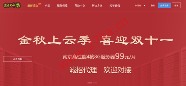 树叶云:全新产品!安徽省清洗高防,南京BGP等VPS低至19元/月(2核/2g内存/40gSSD/5M带宽)