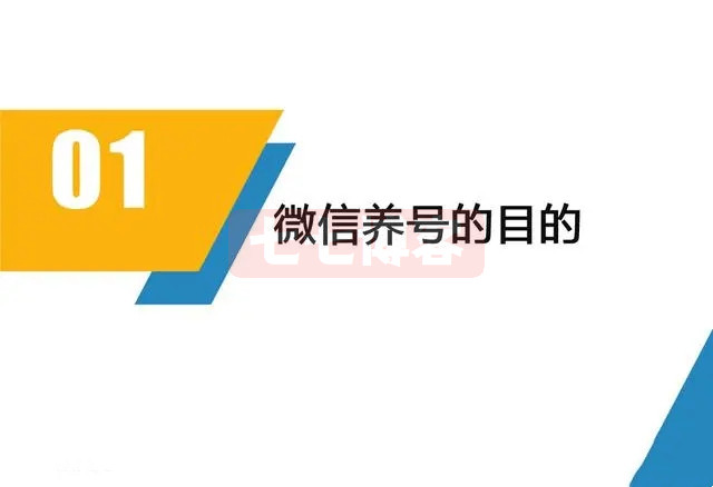 2024年最新微信权重号养号方法