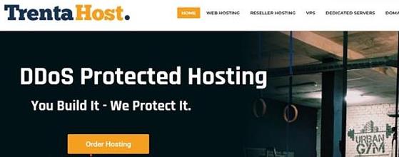 TrentaHost黑五:高防VPS五折,1.25美元/月起,20Gbps DDoS防护