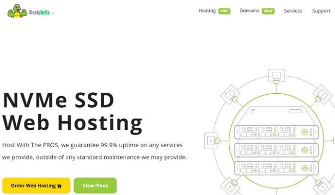 SteadyTurtle美国达拉斯VPS:2核6G/40GB NVMe/1TB流量/1Gbps/9.95美元/月,免费Windows系统