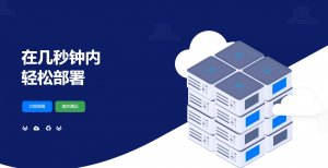 RCP，日本优质VPS云服务器7折/黑五优惠，日本9299网络，KVM虚拟/1核1G内存100Mbps带宽19.99美元/年