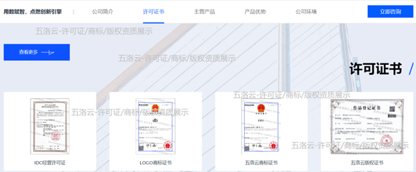 免费国内高防云BGP游戏服务器香港CTG美国CERA精品云主机物理机一手渠道