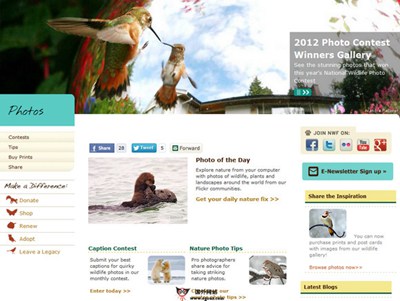 【经典网站】NWF:美国国家野生动物联盟