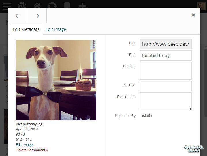 媒体图片的详细模式