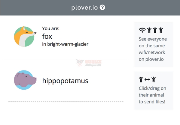 【工具类】Plover|在线基于WiFi文件传输工具