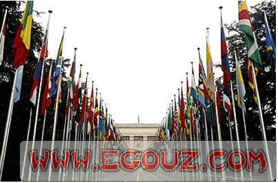 【经典网站】WTO:世界贸易组织