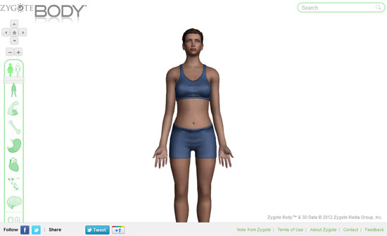 【数据测试】Zygote Body,在线浏览3D人体结构
