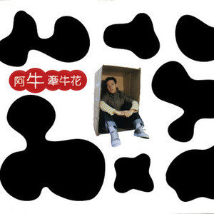 阿牛的照片