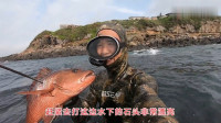 生活类潜水视频