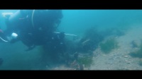 旅游类潜水视频