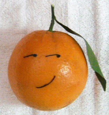 笑死人的情感说说-笑死人的说说加图片：老师说我是搅屎棍，那么我同学是什么？